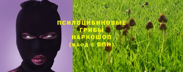 марки nbome Новозыбков